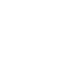 Virtus Law Group